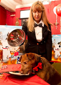 Fred at a Family Guy promotional event