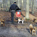 Environmentally-Friendly Disposal of Dog Poo
