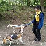 Finding a Dog Care Provider