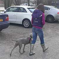 Making Meal Times Interesting