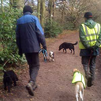 Telephone Q&A Sessions