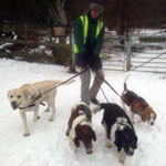 Say Goodbye to Non-Paying Clients