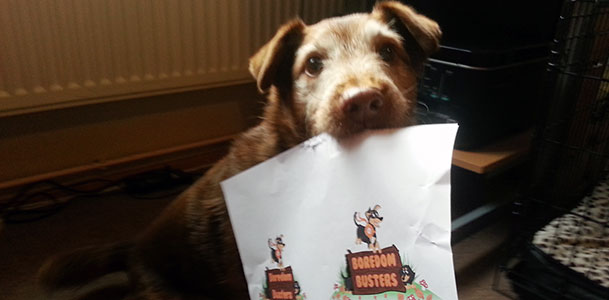 Fred wants you to read these articles!