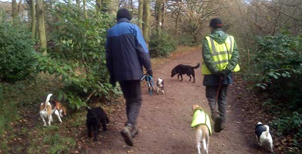 Help is always at hand