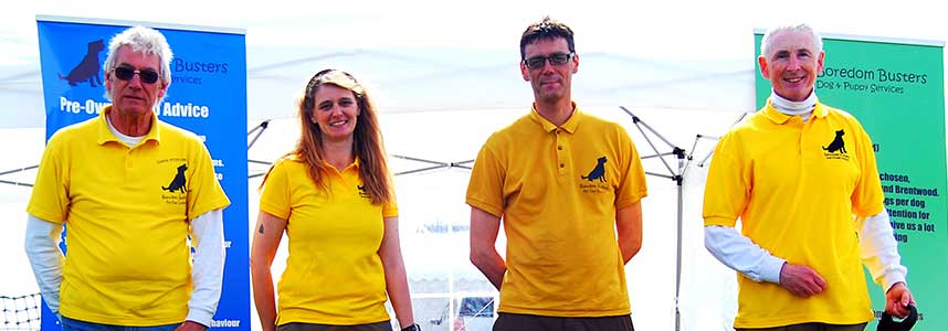 Linda working with dogs