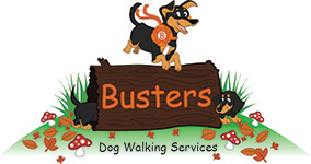 Busters Dog Walking Services